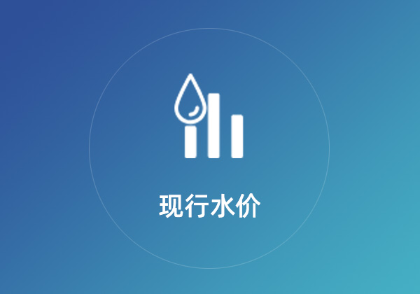 现行水价